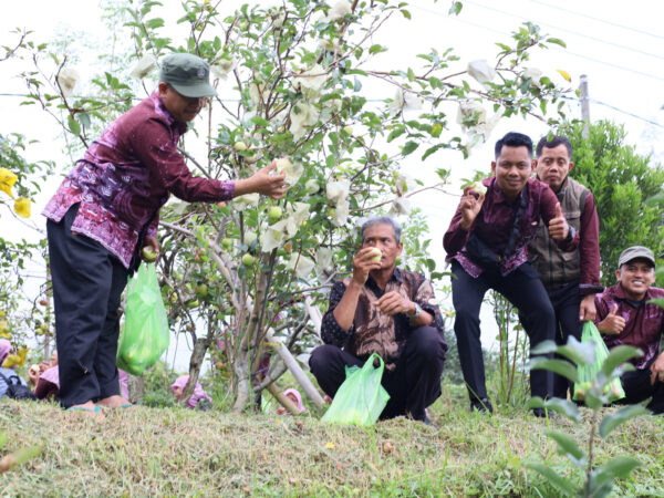 Perkuat Ekoteologi, MIN 1 Kulon Progo Sambangi Kebun Apel